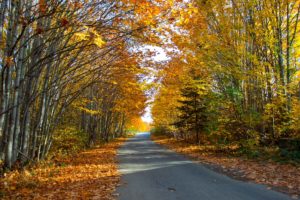 alt text road